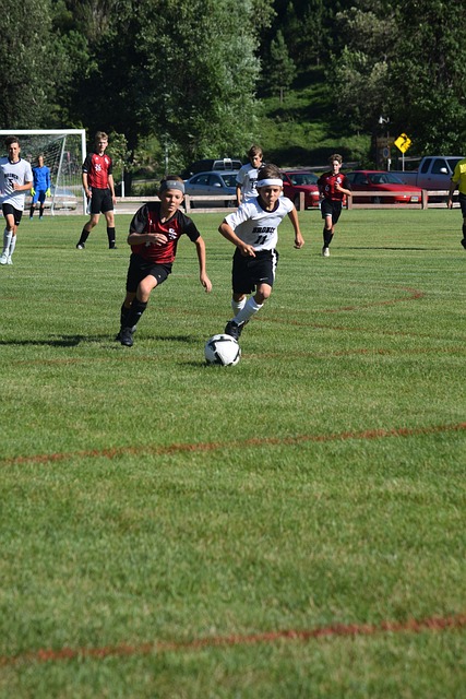 還因范戴克 還因范戴克