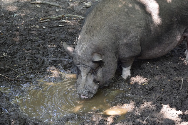 面临年龄困 面临年龄困